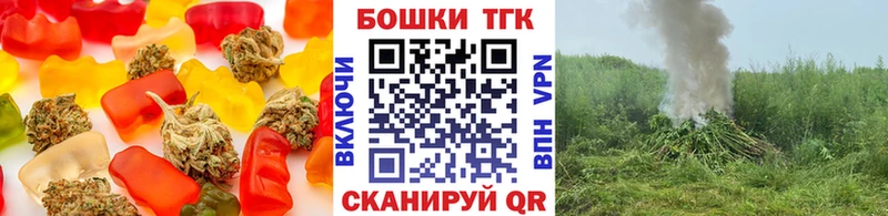 mega вход  продажа наркотиков  Каменка  маркетплейс Telegram  Печенье с ТГК марихуана 