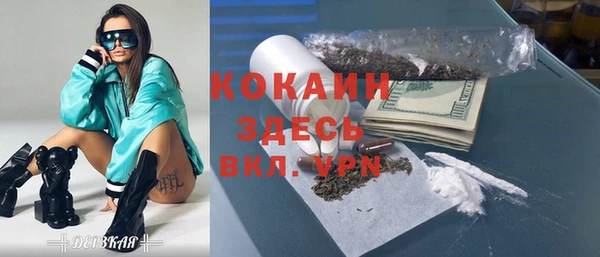 крисы Ельня