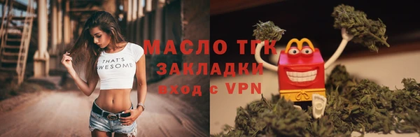 крисы Ельня
