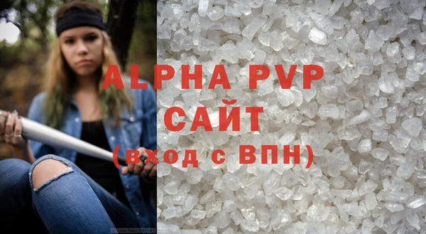 крисы Ельня