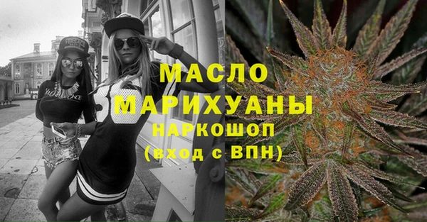 крисы Ельня