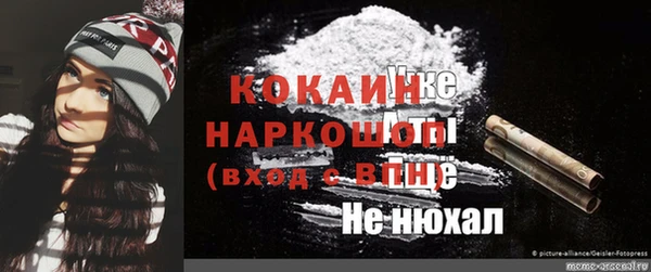 крисы Ельня