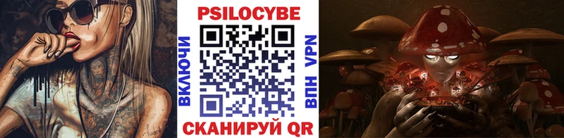 кракен ссылки  что такое наркотик  Каменка  Псилоцибиновые грибы Psilocybe 